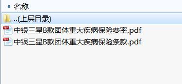 中银三星B款团体重大疾病保险条款费率表.rar