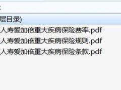 中英人寿爱加倍重大疾病保险条款费率投保规则.rar