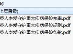 中英人寿爱守护重大疾病保险条款费率投保规则.rar