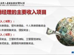 富德生命基本法营销经理收入模型项目核心19页.ppt