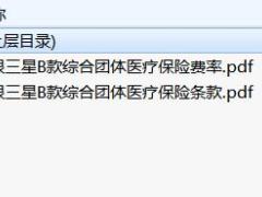 中银三星B款综合团体医疗保险条款费率.rar