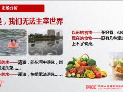 人民健康金色朝阳市场分产品形态特色案例分析39页.ppt