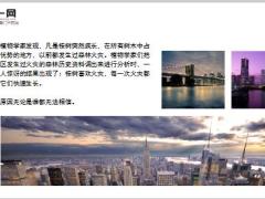 每日保险故事桉树的生存之道9页.ppt