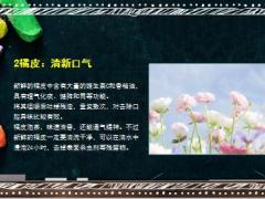 每日健康一个橘子5味药赶紧告诉身边的人19页.ppt