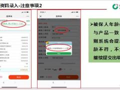 国寿保系统操作销售流程简介13页.ppt