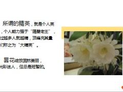 2019国寿透过基本法看主管和精英24页.ppt