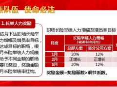 国寿2019年晋升计划庆典版34页.ppt