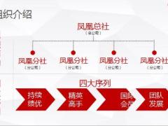 华夏人寿2019凤凰社绩优建设实施方案29页.ppt