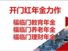 华夏福临门盛世版产品特点介绍卖点销售专案35页.ppt