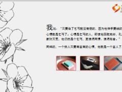每日正能量乞丐的钵子5页.ppt