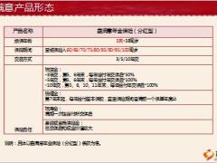 太平洋鑫满意产品形态客户需求特色销售逻辑益归属14页.ppt