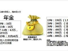 国寿鑫享金生B款产品普尔图简介探讨促成拒绝处理22页.ppt