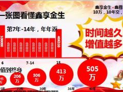 中国人寿鑫享金生B款销售人员训练33页.ppt