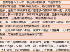 2019年猪年春节假日经营海报思路1页.xlsx