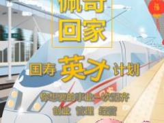 2019年猪年春节假日经营微海报回家系列6页.ppt