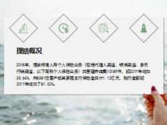 2018年恒安标准人寿个人保险业务理赔年报30页.ppt