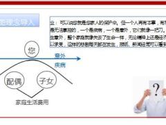 太平洋人寿安行宝3.0特色理念形态要素8页.ppt
