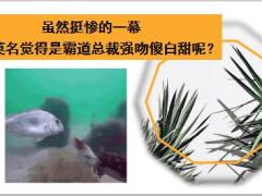 每日快乐早会19年1月30日使用12页.ppt