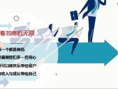 2019年猪年春节假日经营活动篇42页.pptx