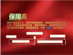 国寿鑫玉满堂卖点销售逻辑11页.ppt