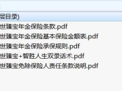 利安盛世臻宝年金保险条款费率承保规则双录话术说明书.rar
