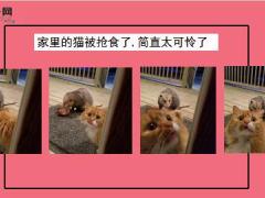 每日快乐早会19年2月2日使用12页.ppt