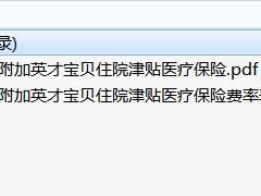 中英人寿附加英才宝贝住院津贴医疗保险条款费率.rar