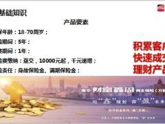 国华财富鑫盈两全保险背景基础知识优势案例话术演练通关15页.pptx