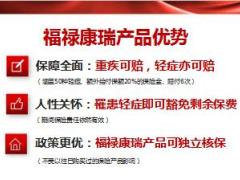太平福禄康瑞认知关键动作目标感悟26页.ppt