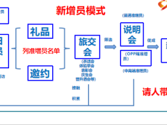 寿险营销主管培训5新增员模式及其组织与推动59页.ppt
