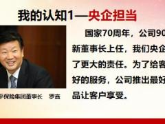 太平人寿财富安赢分享数据展示销售关键目标42页.pptx