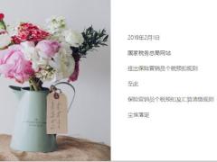 600万保险营销员不用再交税12页.ppt