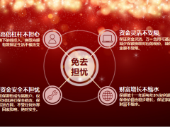 国华保中宝产品形态目标用户需求31页.pptx