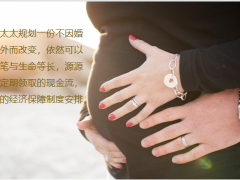 太平财富安赢版家庭财务风险管理与资产配置43页.pptx
