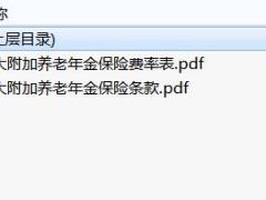 恒大附加养老年金保险条款费率.rar
