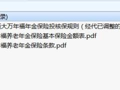 恒大万年福养老年金保险条款费率.rar