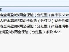 阳光人寿金满盈B款两全保险分红型条款费率表现金价值说明书.rar