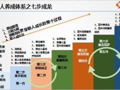 浅谈新筹弱改新人养成体系意义介绍19页.ppt