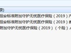 恒安标准附加守护无忧医疗保险2019产品条款费率表.rar