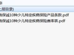中信保诚10种少儿特定疾病保险产品条款费率.rar