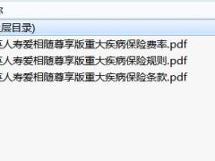中英人寿爱相随尊享版重大疾病保险条款费率投保规则.rar