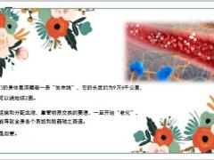 每日健康这条生命线太重要它一老全身老偷寿命的6个习惯别再做了21页.ppt