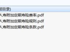 中英人寿附加定期寿险条款费率投保规则.rar