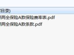 北大方正安行保两全保险A款条款费率.rar