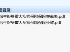 北大方正安康怡生终身重大疾病保险保险条款费率.rar