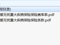 北大方正附加爱无忧重大疾病保险保险条款费率.rar