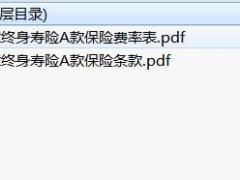 北大方正如意终身寿险A款保险条款费率.rar