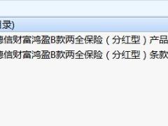 复星保德信财富鸿盈B款两全保险分红型条款说明书.rar