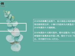 盘点2018年度人身险十大理赔案件均赔付超1000万14页.ppt