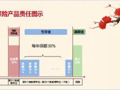 合众福禧人生销售逻辑产品回顾理念导入目标客户说明篇40页.pptx